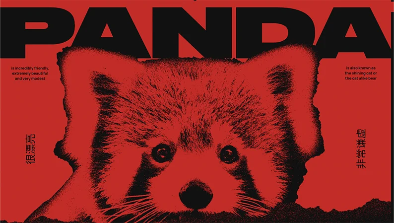 Red Panda - Best Website Animation Example